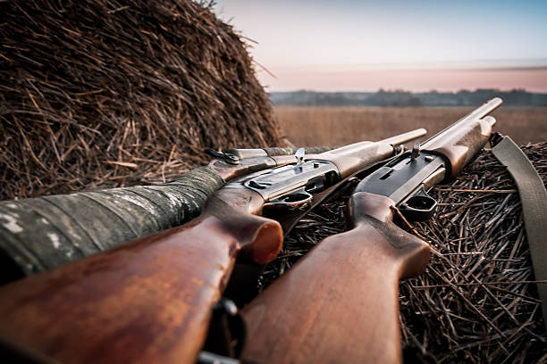 ARMAS LONGAS